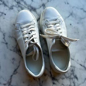 M gemi The Palestra Alta